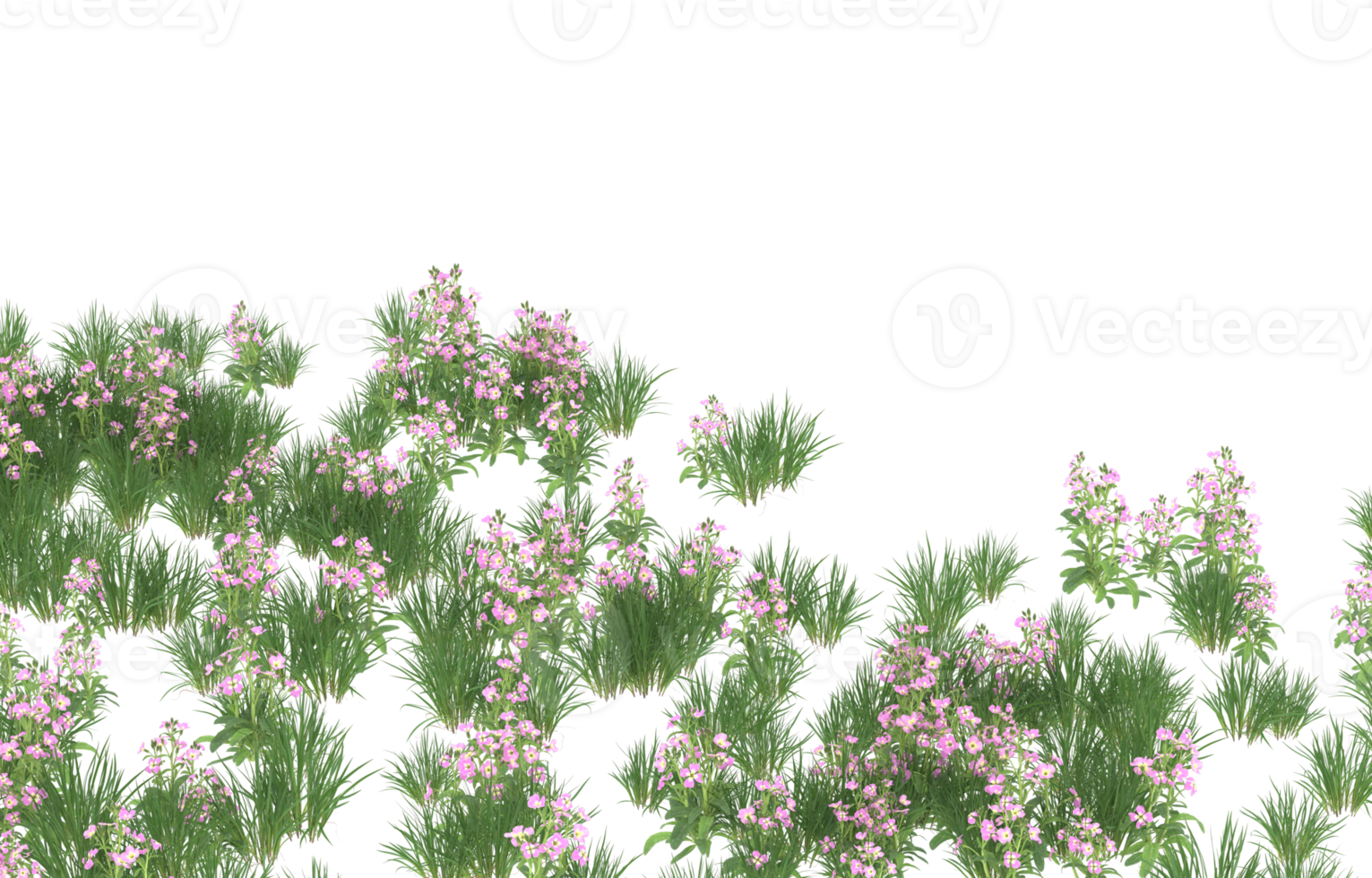 Realistic foliage isolated on transparent background. 3d rendering - illustration png