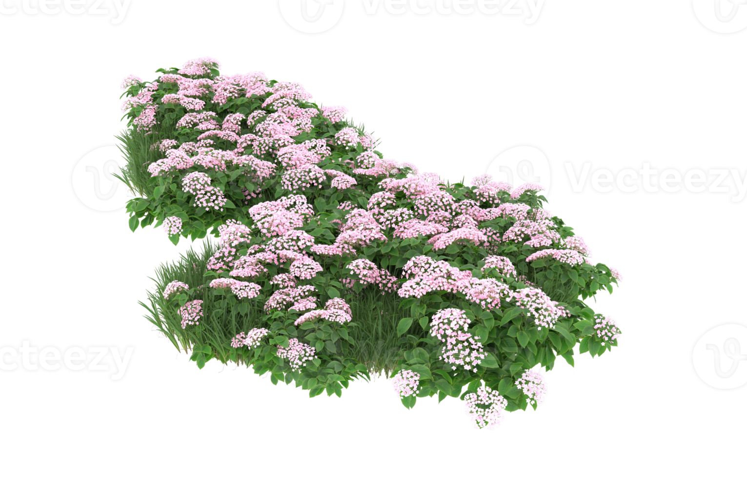 Realistic foliage isolated on transparent background. 3d rendering - illustration png