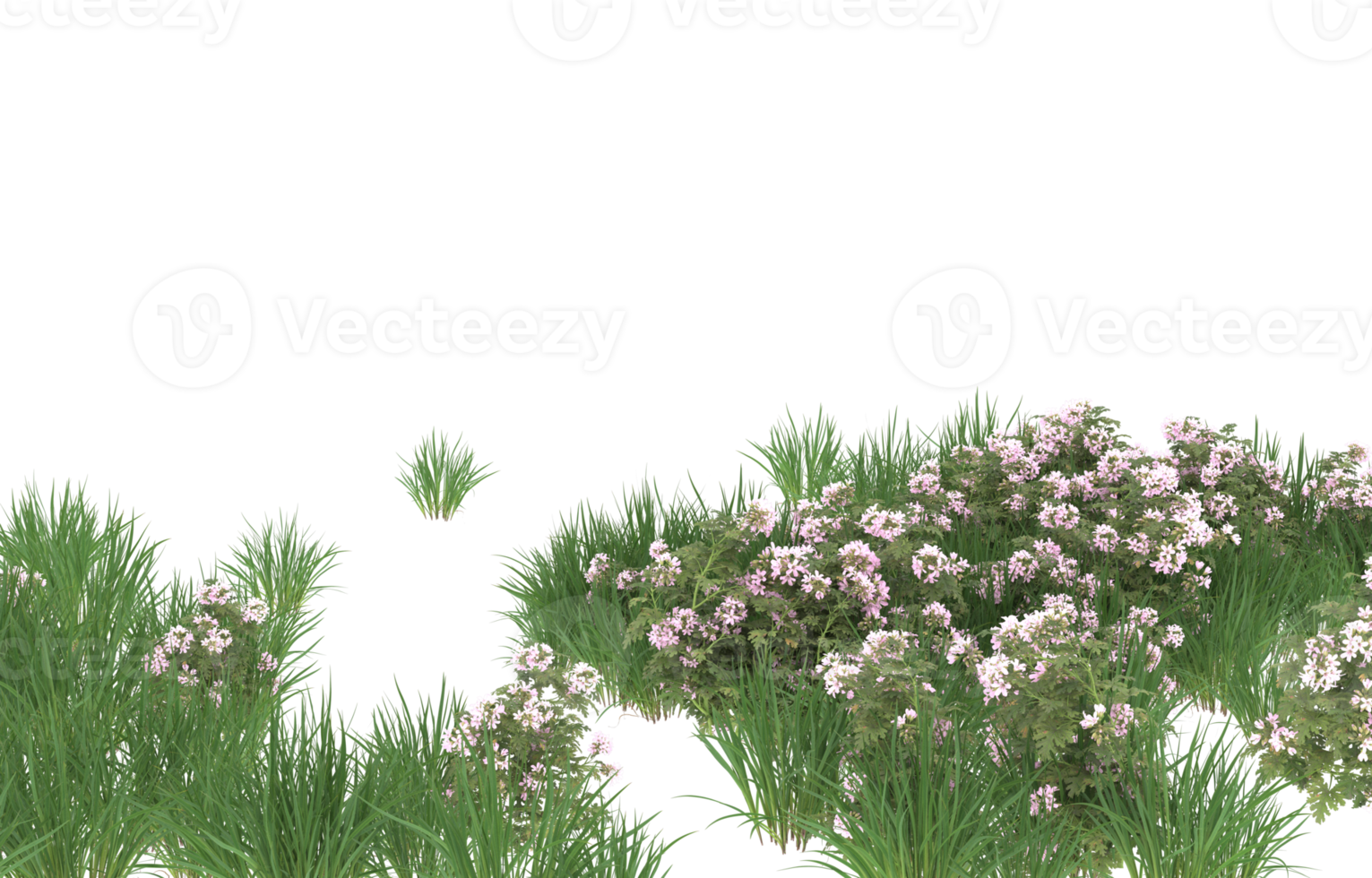 Realistic foliage isolated on transparent background. 3d rendering - illustration png