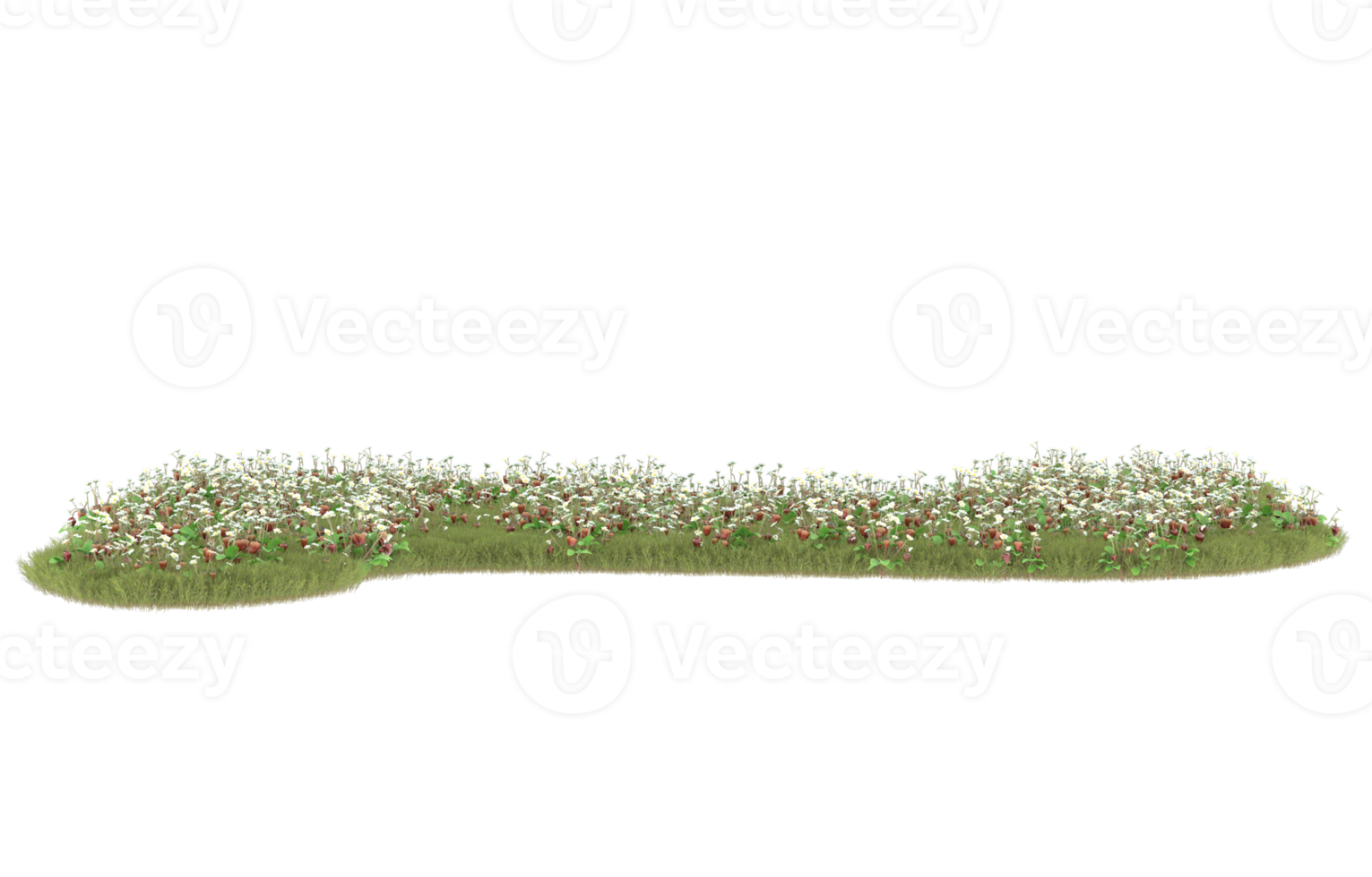 Realistic foliage isolated on transparent background. 3d rendering - illustration png