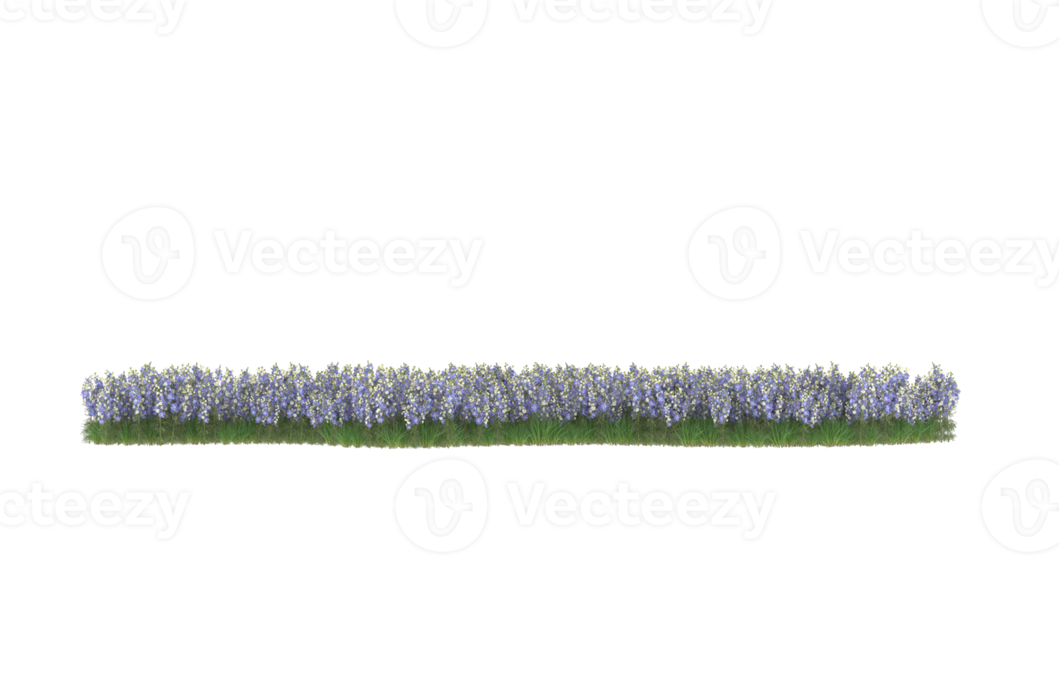 Realistic foliage isolated on transparent background. 3d rendering - illustration png
