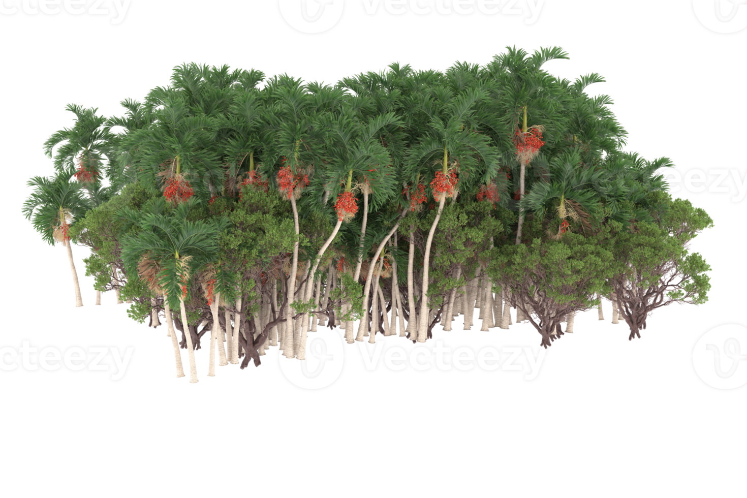 Palm trees isolated on transparent background. 3d rendering - illustration png