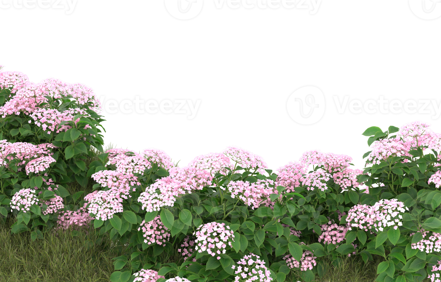 Realistic foliage isolated on transparent background. 3d rendering - illustration png