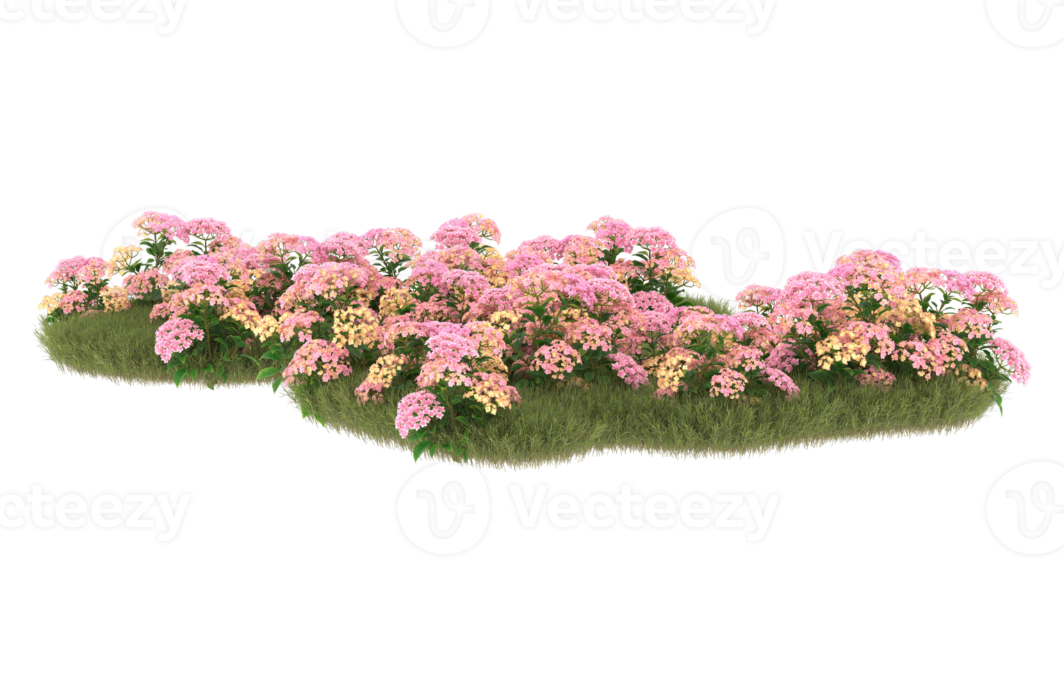 realistisk lövverk isolerat på transparent bakgrund. 3d tolkning - illustration png