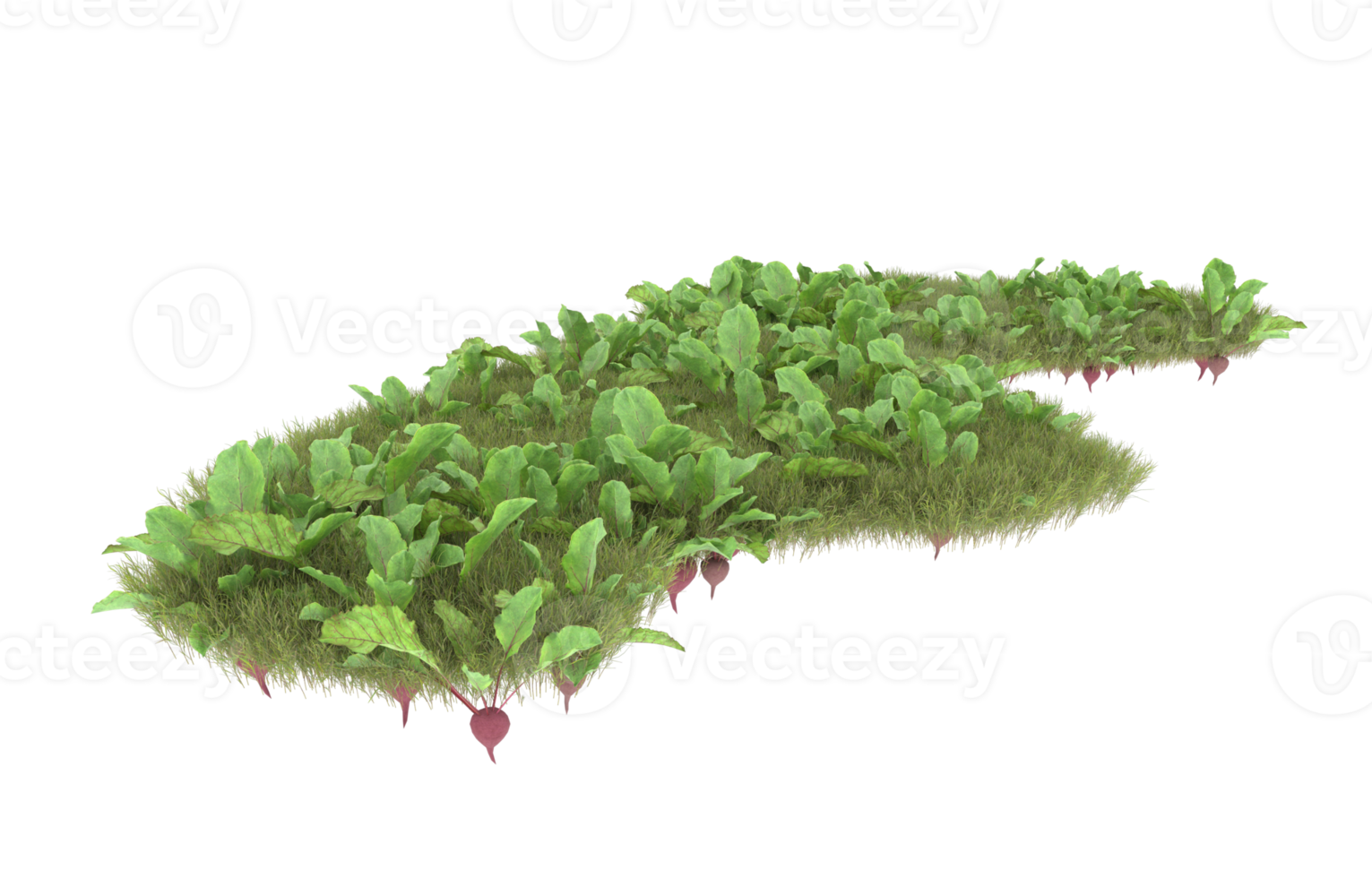 Realistic foliage isolated on transparent background. 3d rendering - illustration png