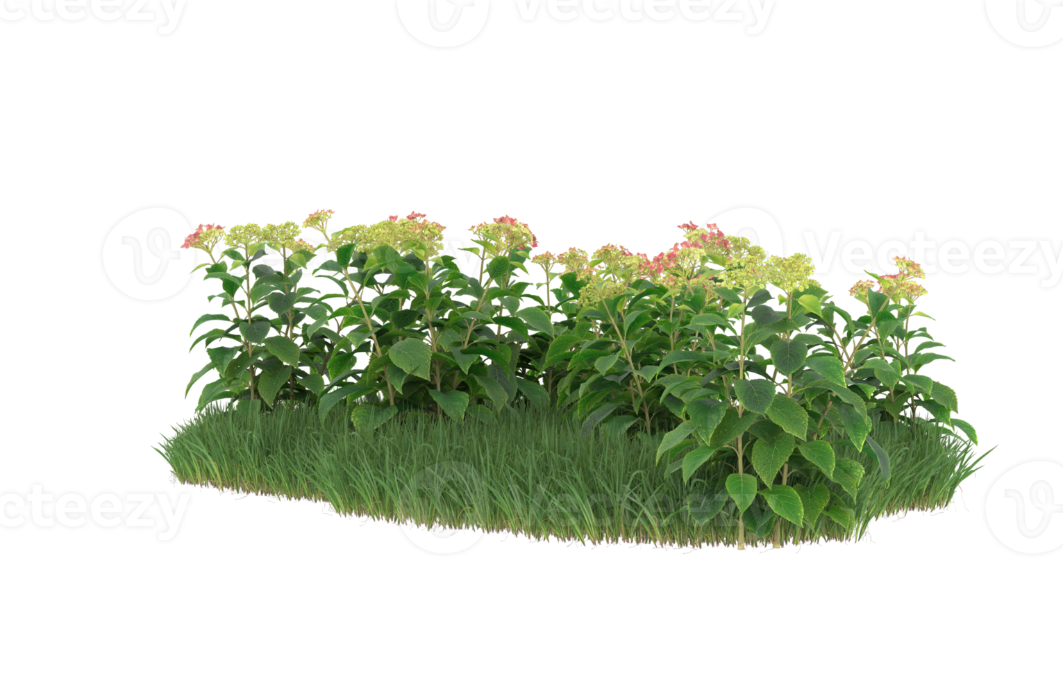 Realistic foliage isolated on transparent background. 3d rendering - illustration png