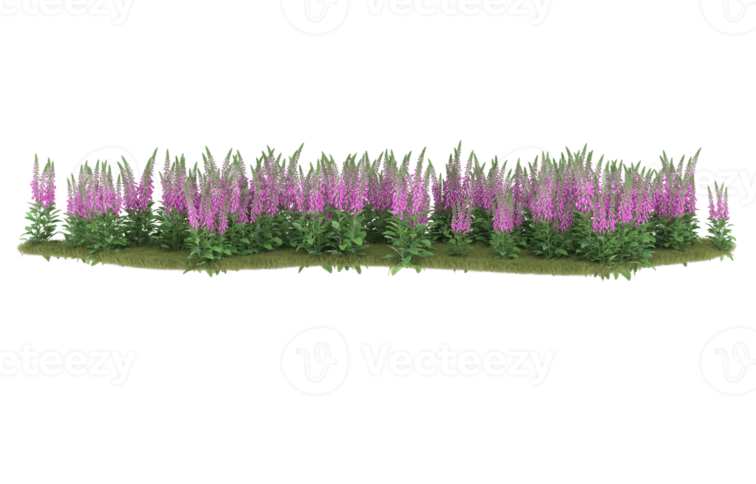 Realistic foliage isolated on transparent background. 3d rendering - illustration png