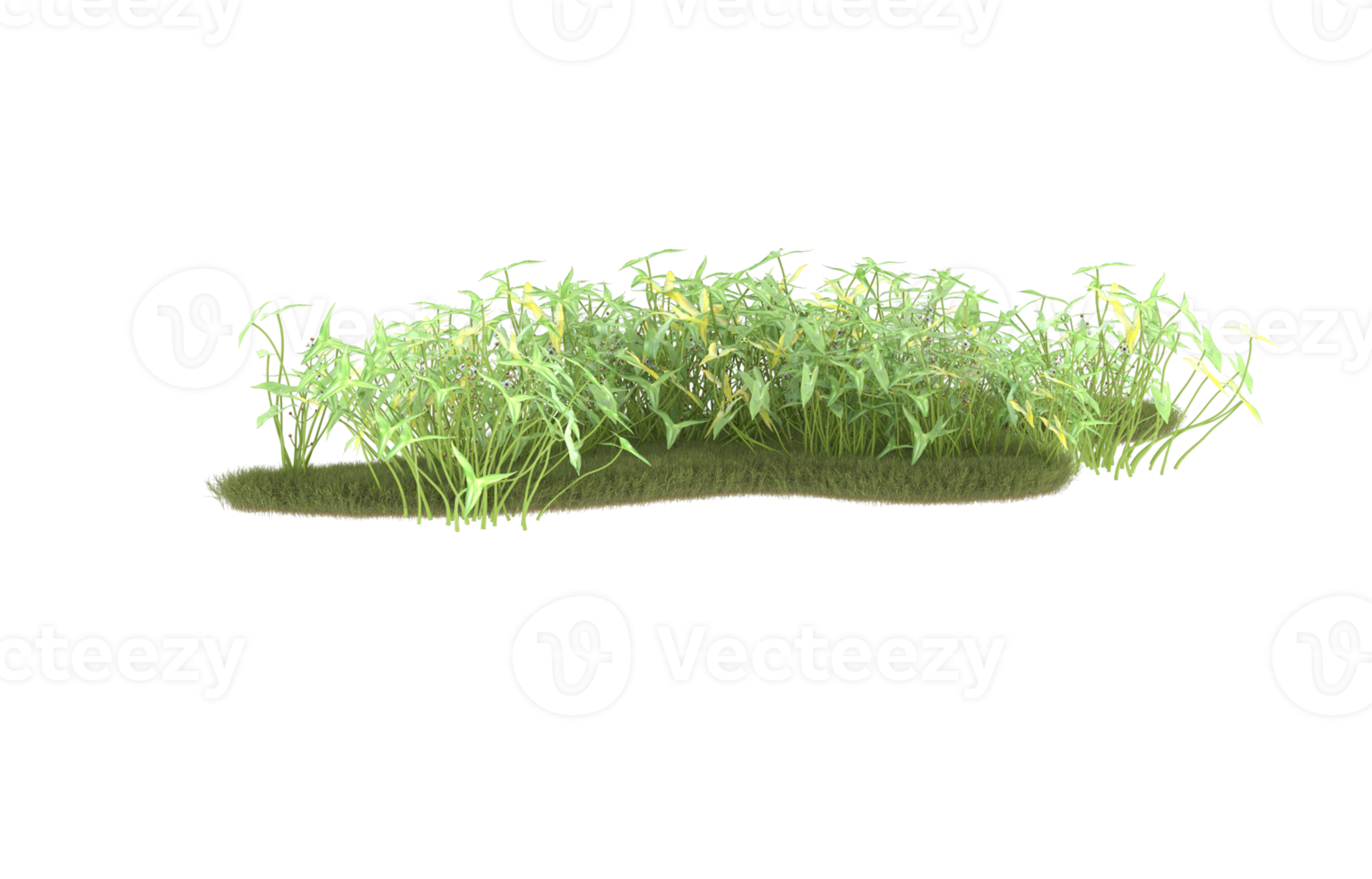 Realistic foliage isolated on transparent background. 3d rendering - illustration png
