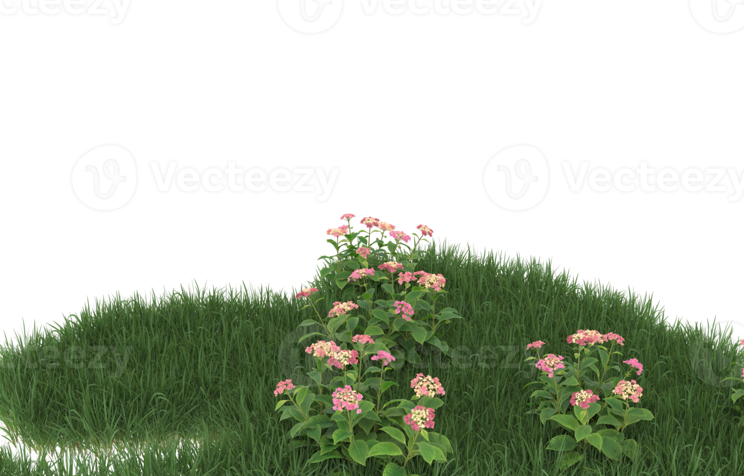 Realistic foliage isolated on transparent background. 3d rendering - illustration png