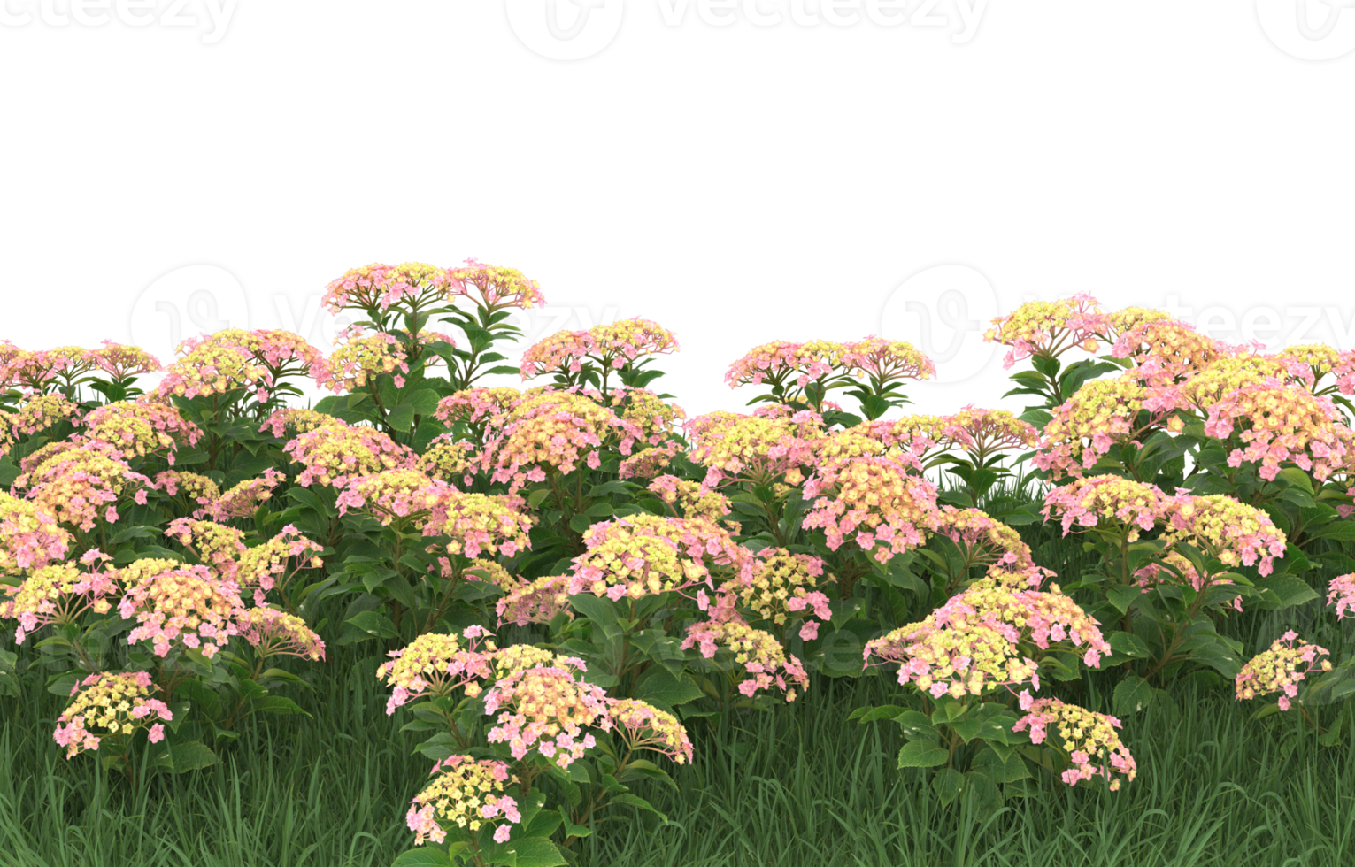 Realistic foliage isolated on transparent background. 3d rendering - illustration png