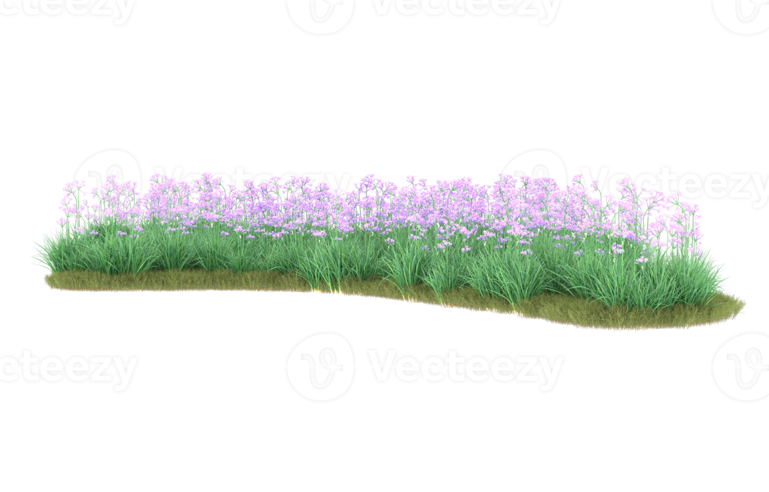 realistisk lövverk isolerat på transparent bakgrund. 3d tolkning - illustration png