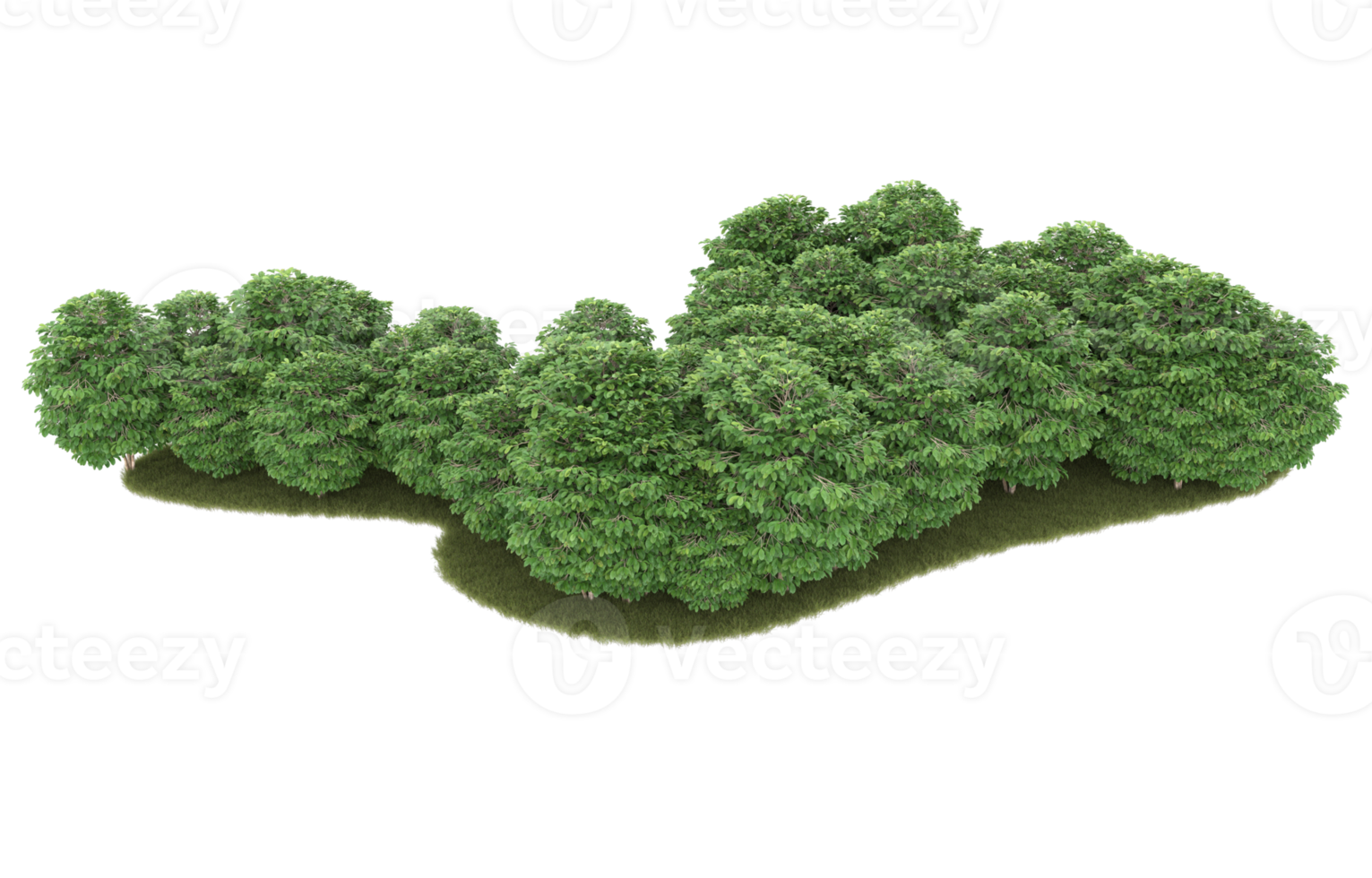Realistic foliage isolated on transparent background. 3d rendering - illustration png