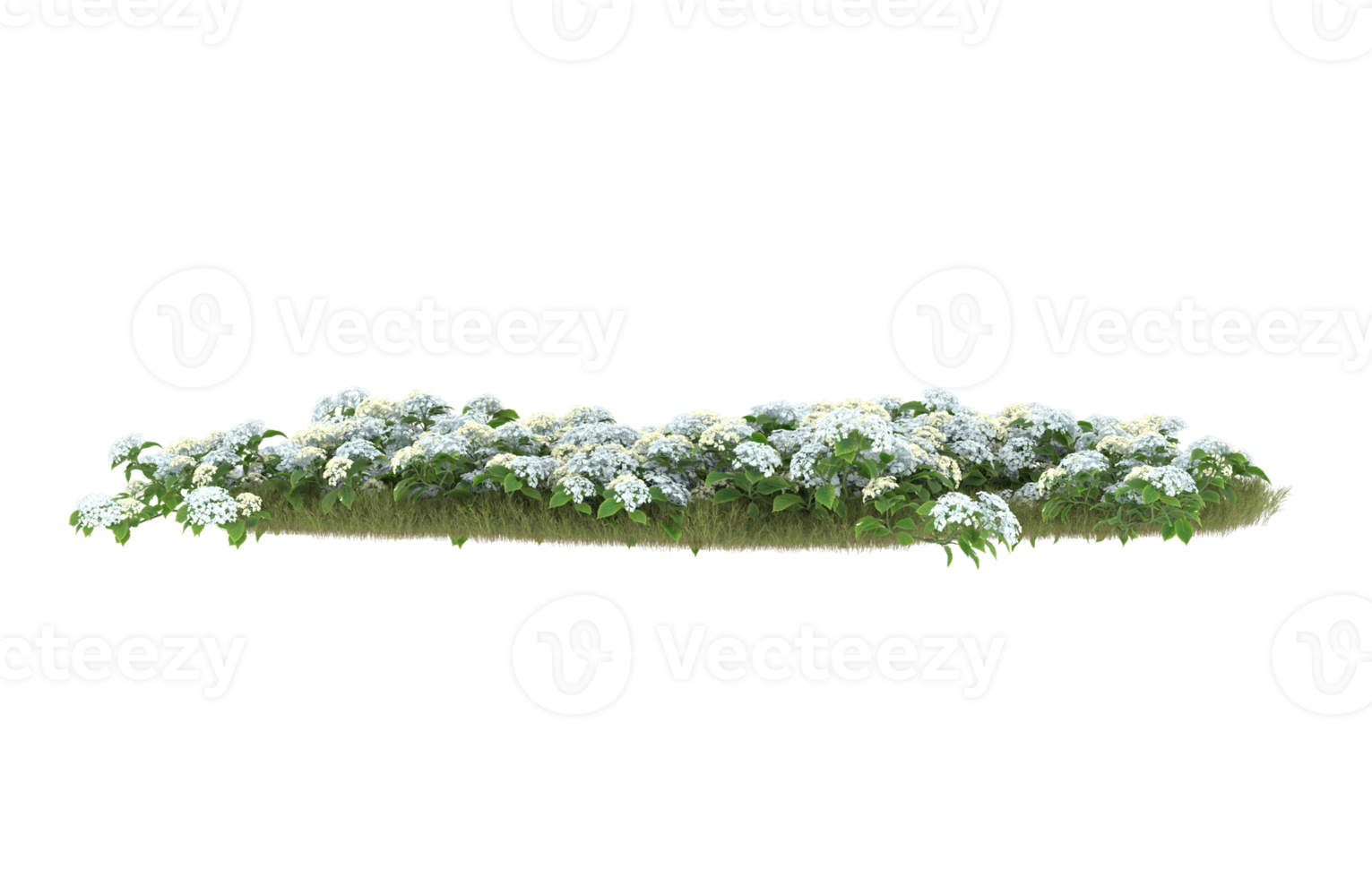 Realistic foliage isolated on transparent background. 3d rendering - illustration png