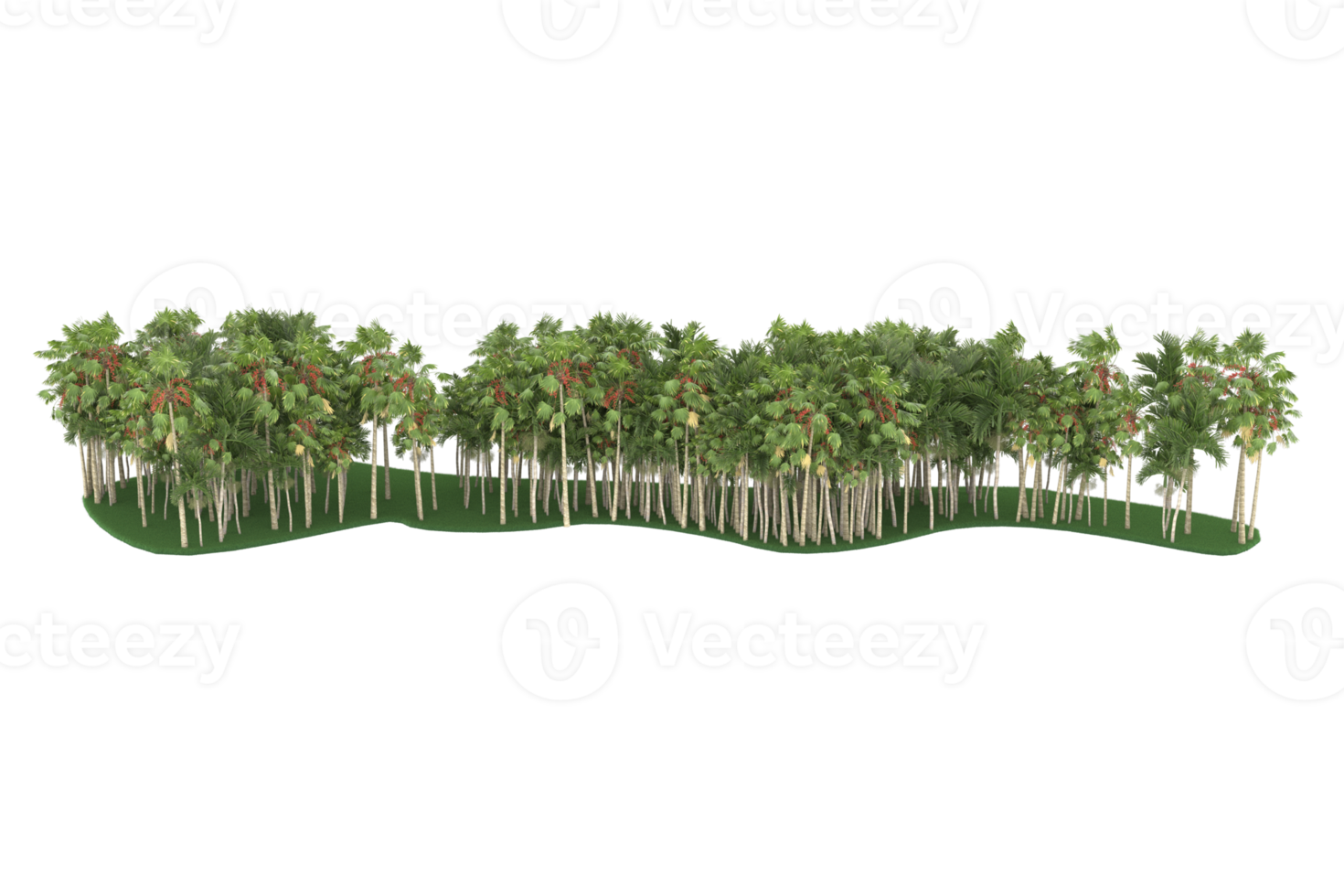 Palm trees isolated on transparent background. 3d rendering - illustration png