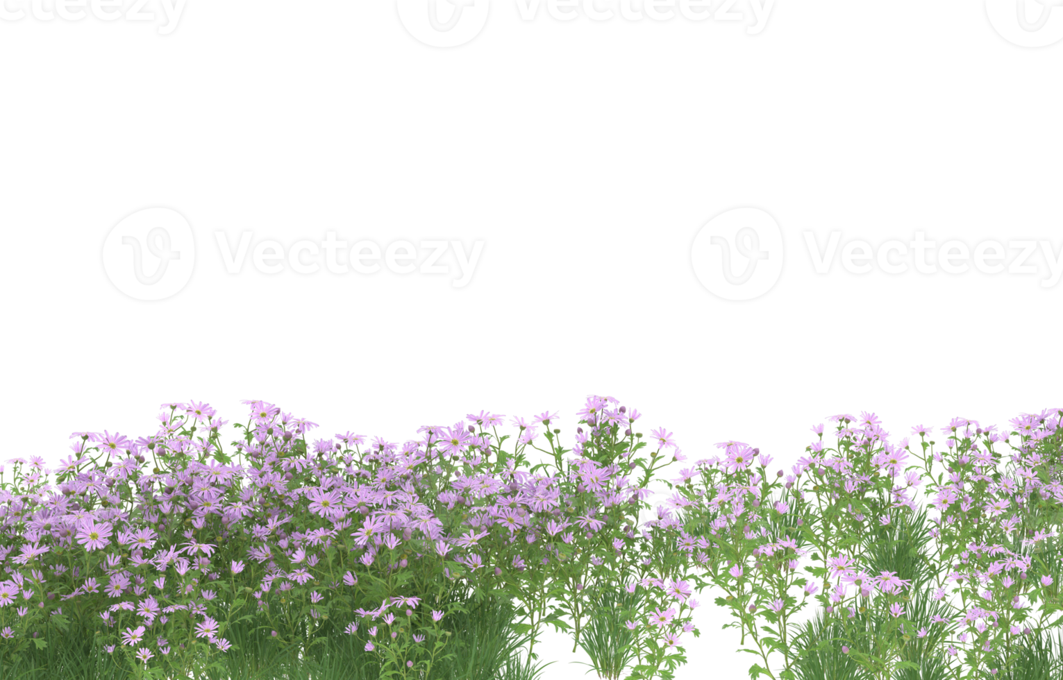 Realistic foliage isolated on transparent background. 3d rendering - illustration png