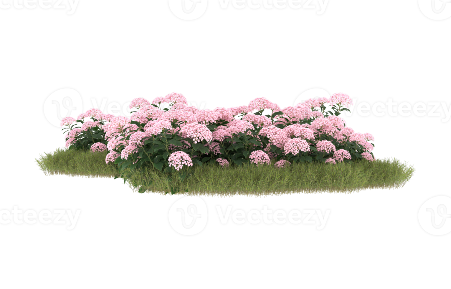 realistisk lövverk isolerat på transparent bakgrund. 3d tolkning - illustration png