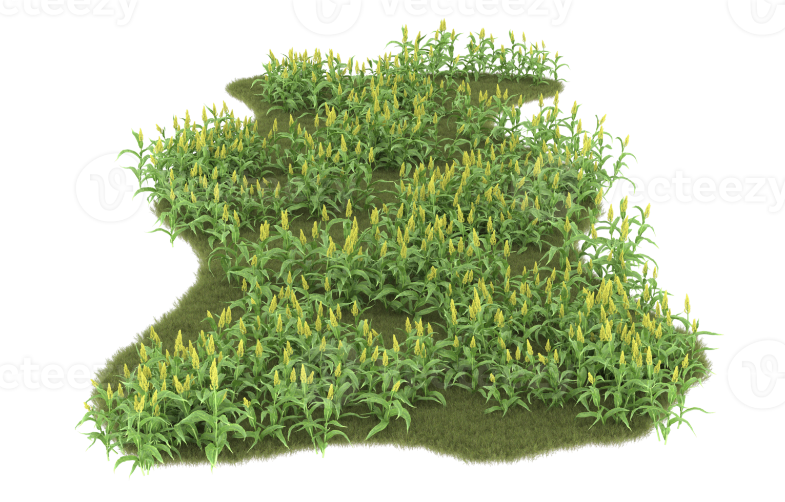 Realistic foliage isolated on transparent background. 3d rendering - illustration png