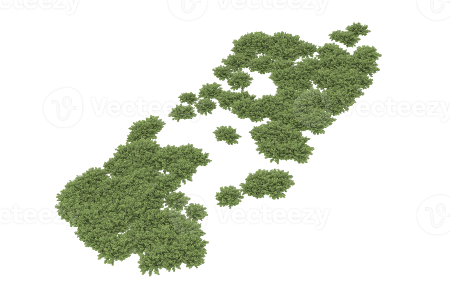 realistisch gebladerte geïsoleerd Aan transparant achtergrond. 3d renderen - illustratie png