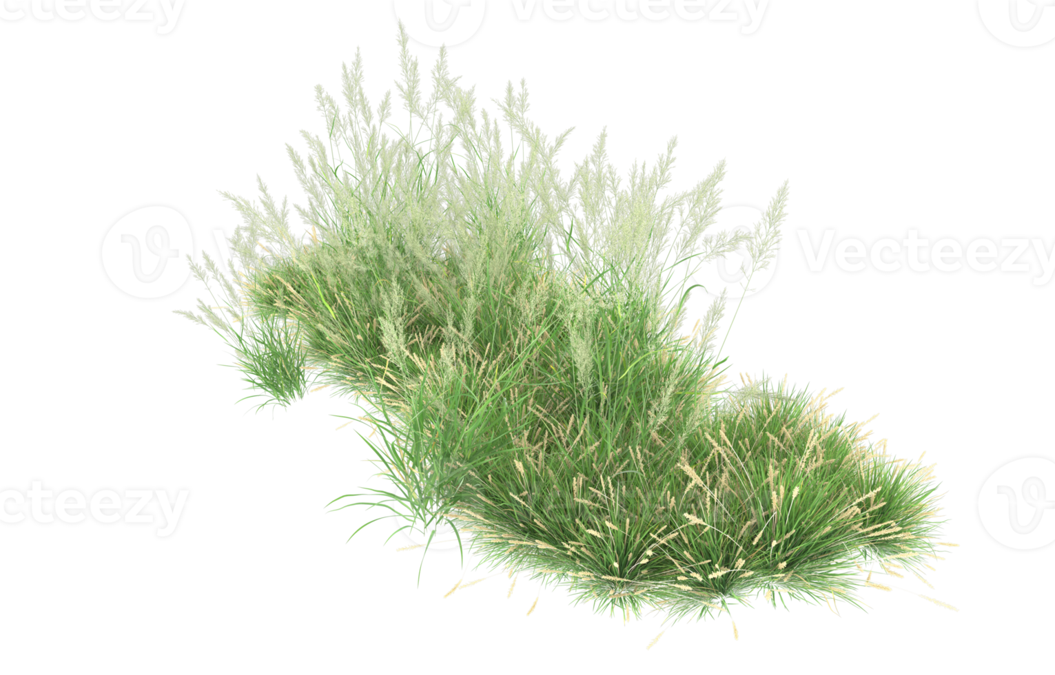 Realistic foliage isolated on transparent background. 3d rendering - illustration png
