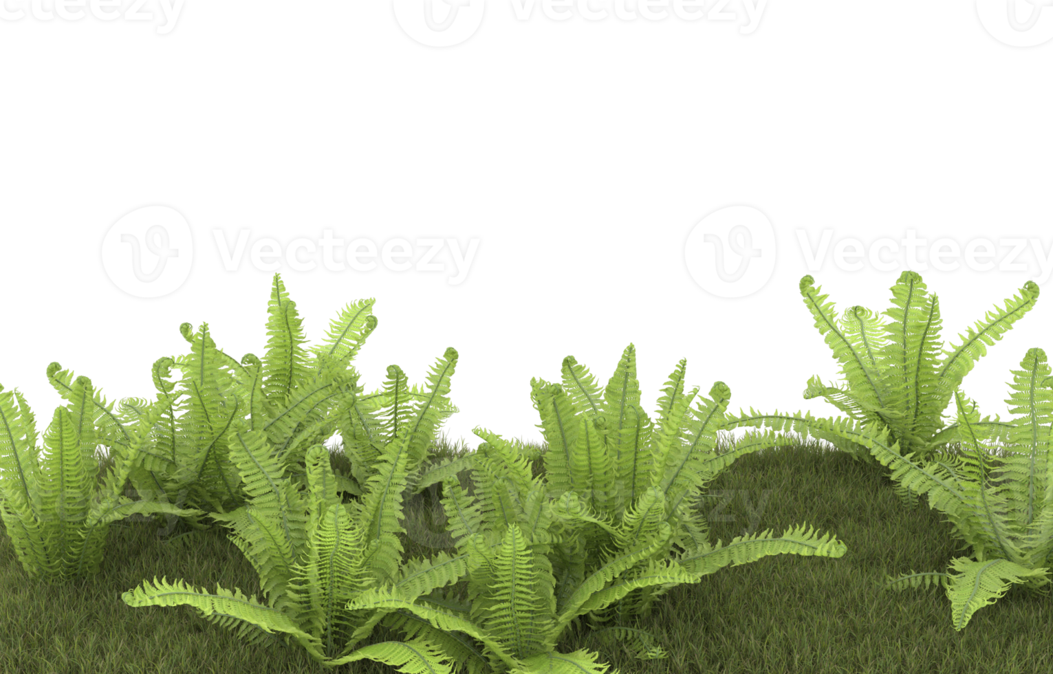 Realistic foliage isolated on transparent background. 3d rendering - illustration png