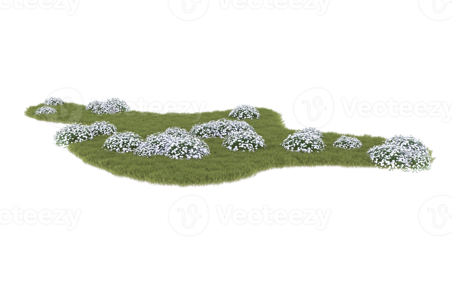Realistic foliage isolated on transparent background. 3d rendering - illustration png