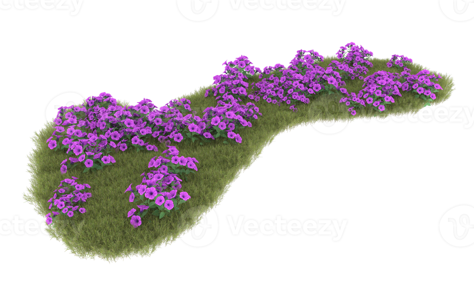 Realistic foliage isolated on transparent background. 3d rendering - illustration png