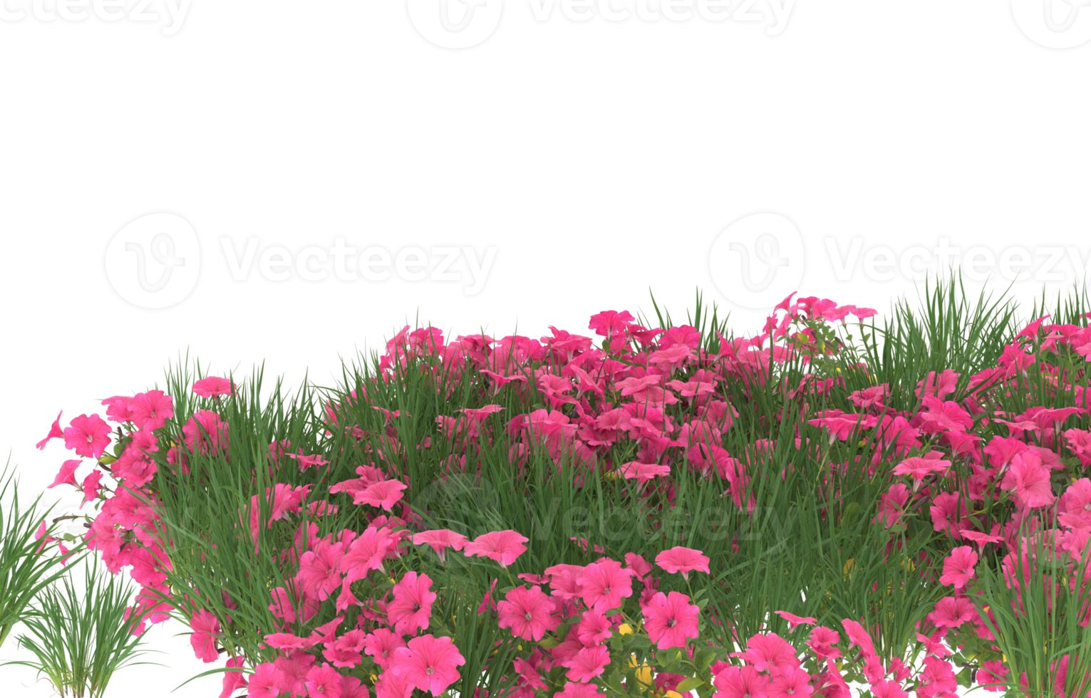 Realistic foliage isolated on transparent background. 3d rendering - illustration png