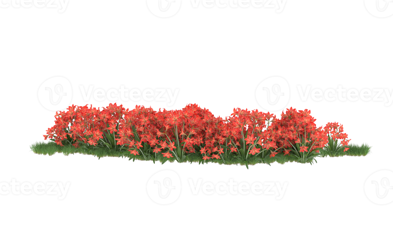 Realistic foliage isolated on transparent background. 3d rendering - illustration png