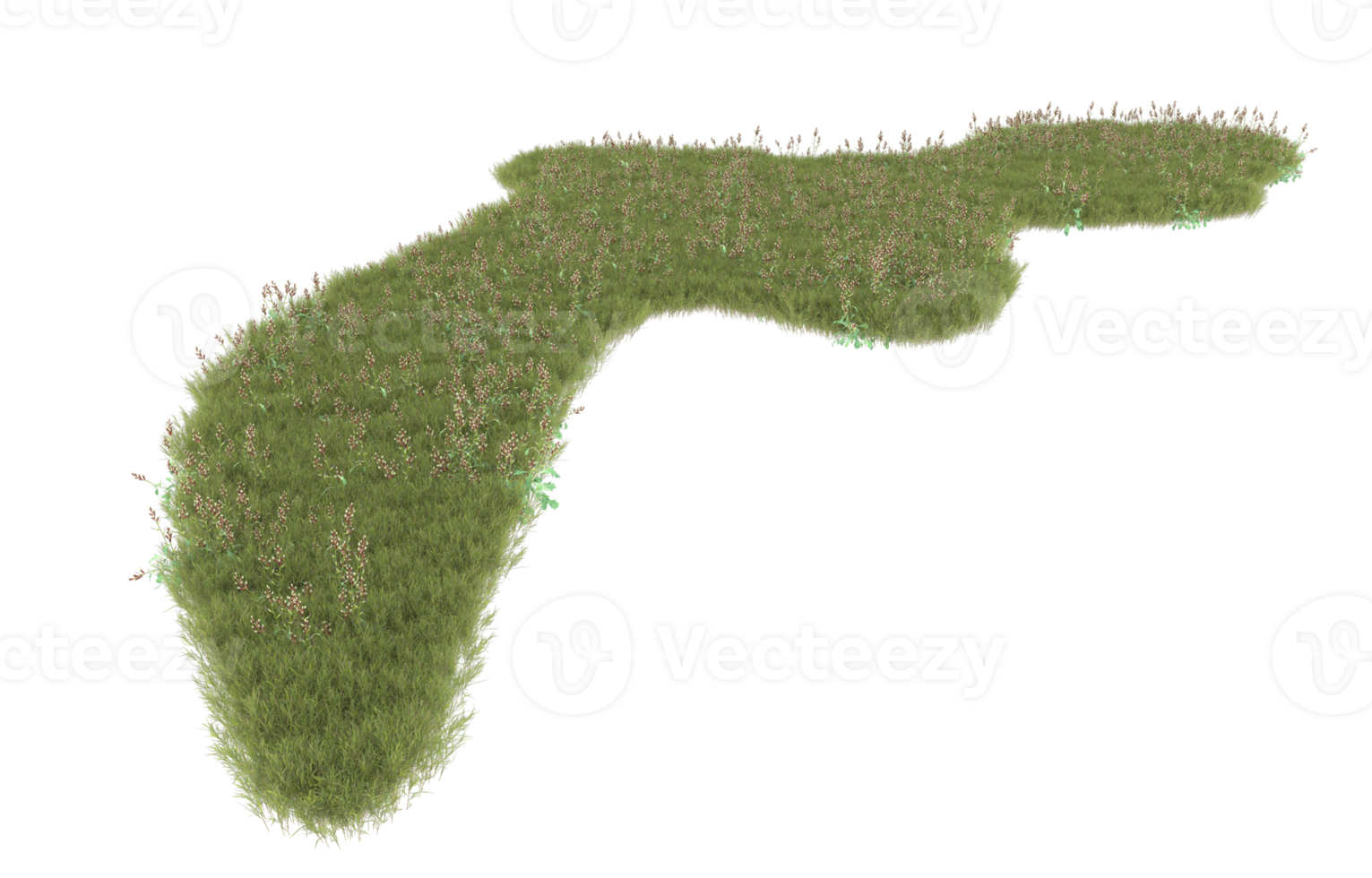 Realistic foliage isolated on transparent background. 3d rendering - illustration png