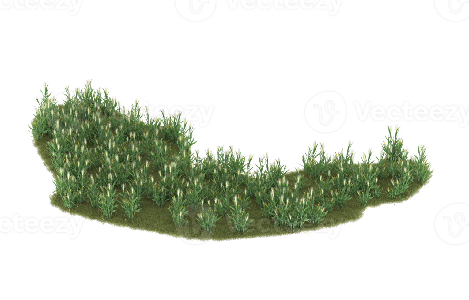 Realistic foliage isolated on transparent background. 3d rendering - illustration png