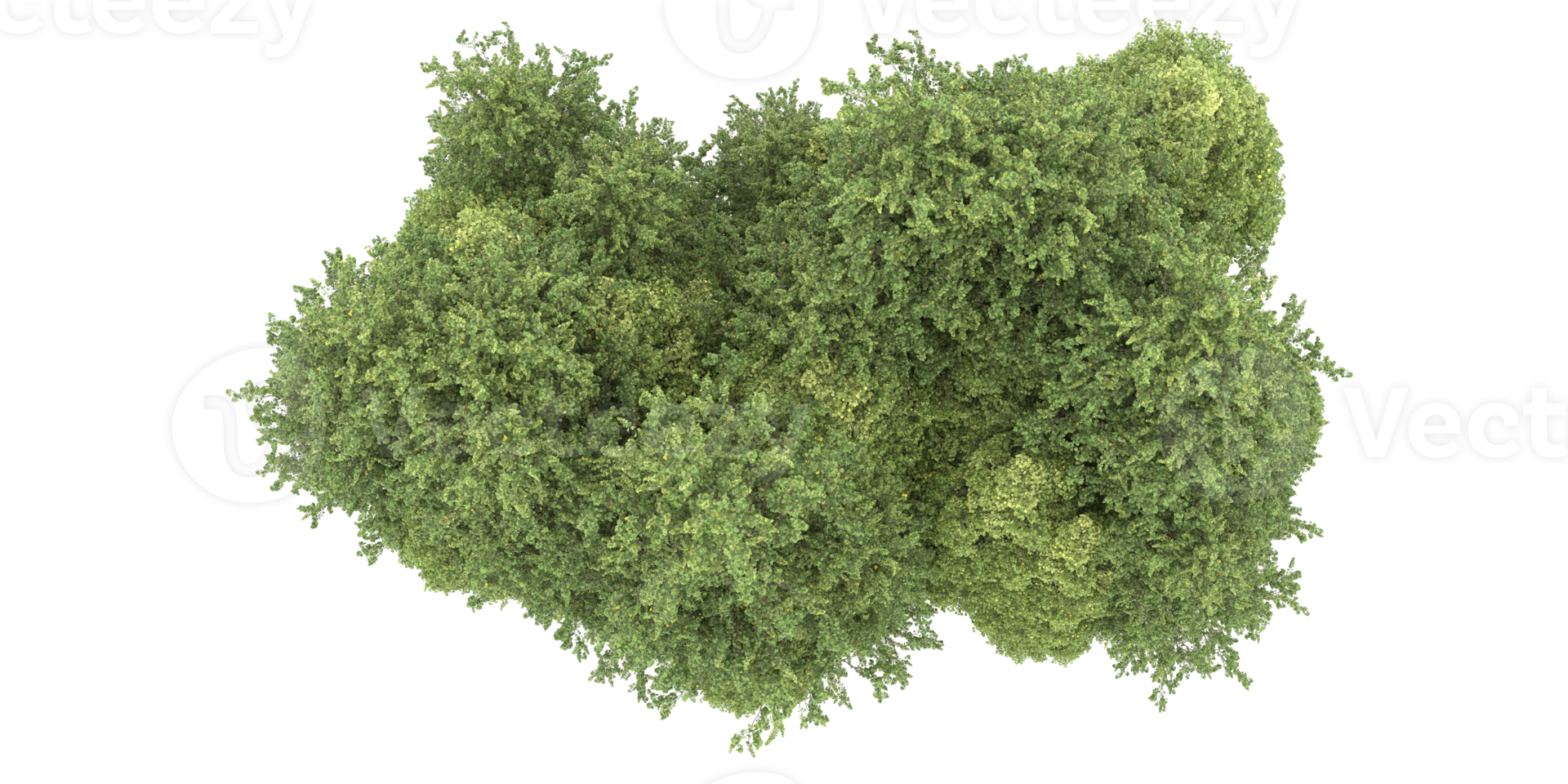 Realistic forest isolated on transparent background. 3d rendering - illustration png