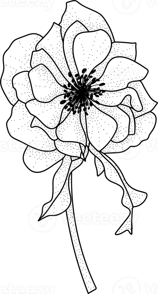 dessin au trait floral monochrome luxe fleur élégante illustration vintage png