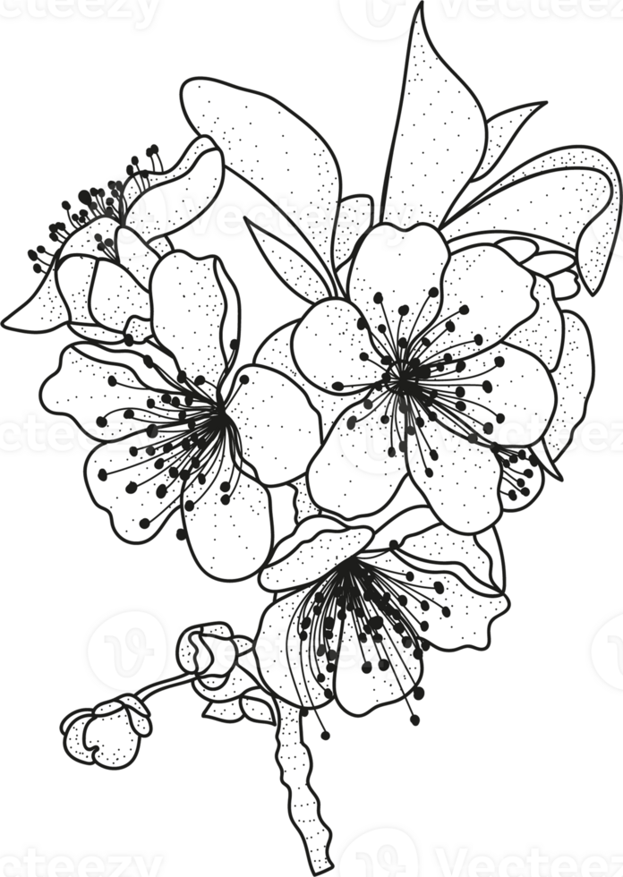 floral línea arte monocromo lujo elegante flor vintage ilustración png