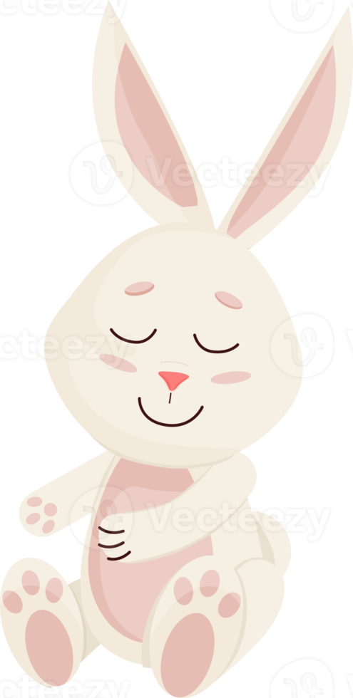 personaje de conejito. sentado divertido, feliz conejo de dibujos animados de Pascua. png