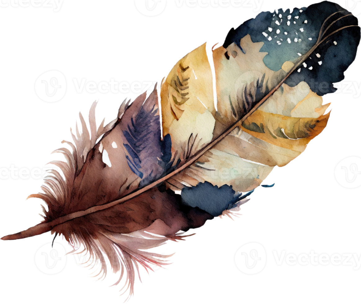 Colorful Feather Watercolor png