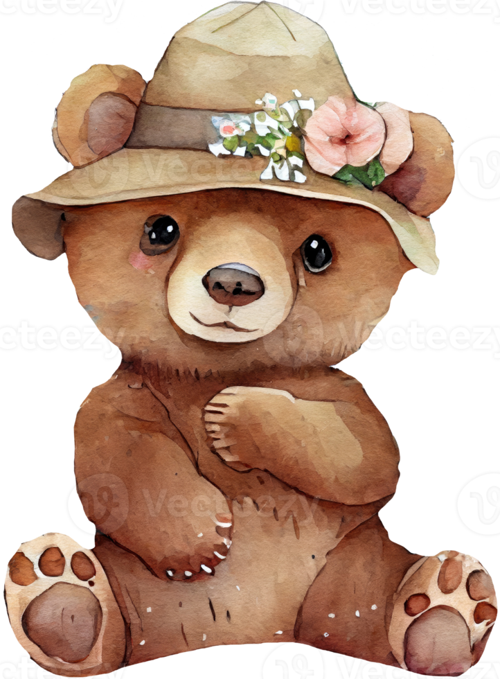 carino Marrone orso acquerello png