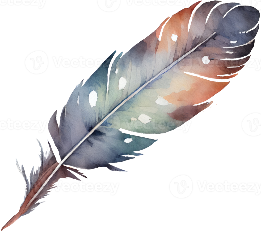 aquarelle de plumes colorées png