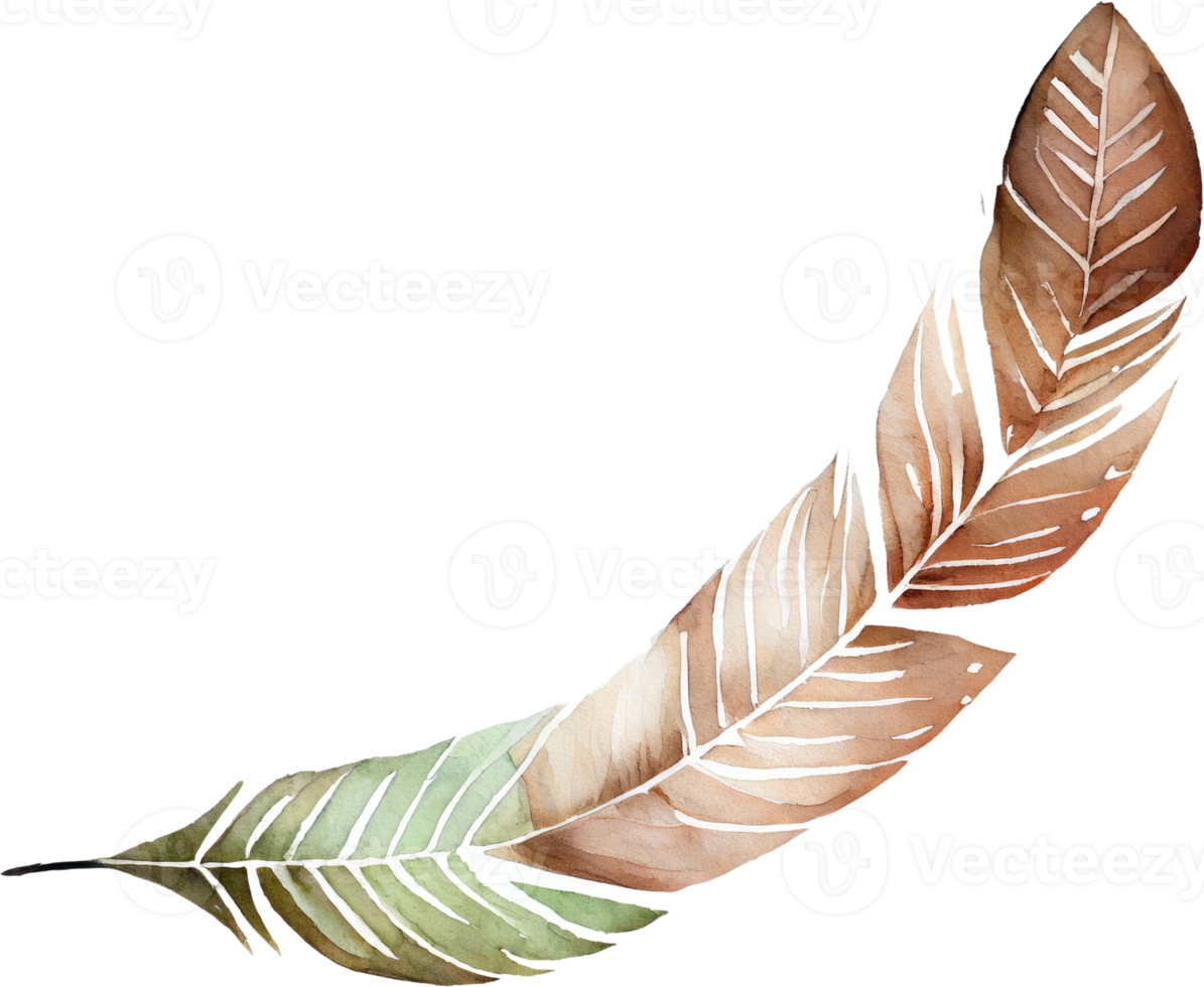 Colorful Feather Watercolor png