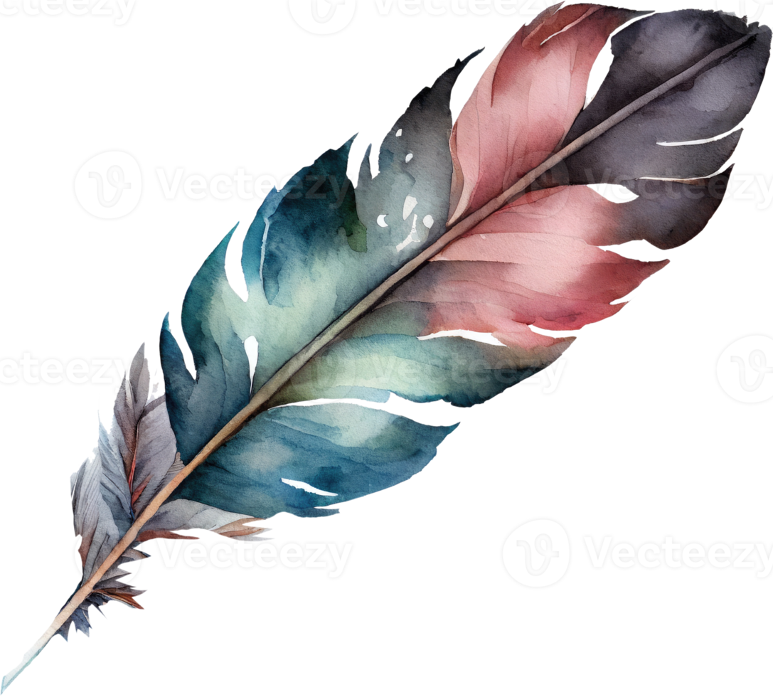 Colorful Feather Watercolor png