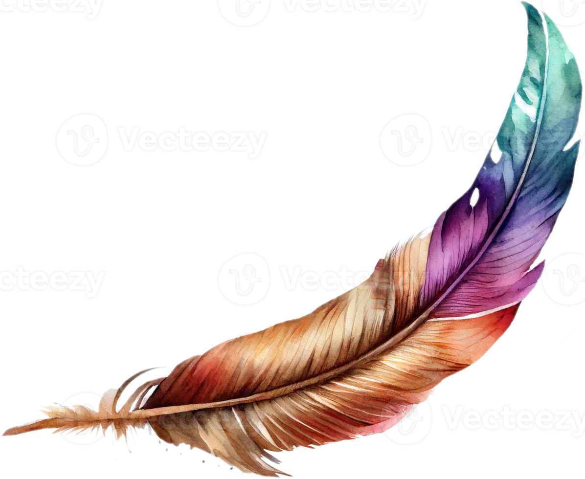 Colorful Feather Watercolor png