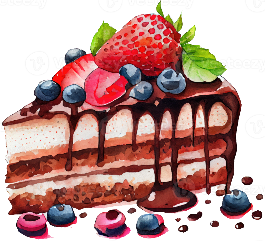Chocolate Strawberry Cake Watercolor png