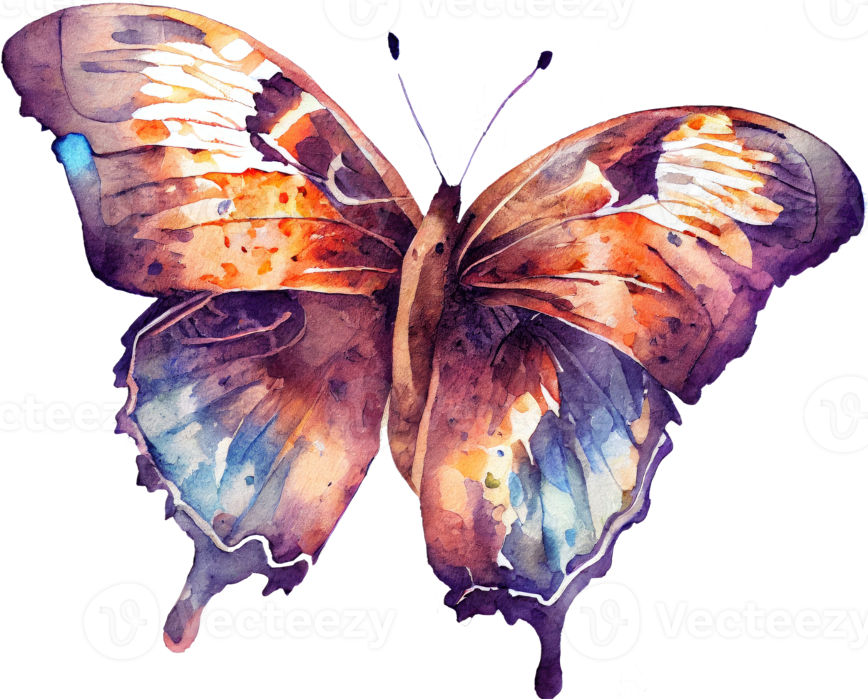 illustration aquarelle papillon png