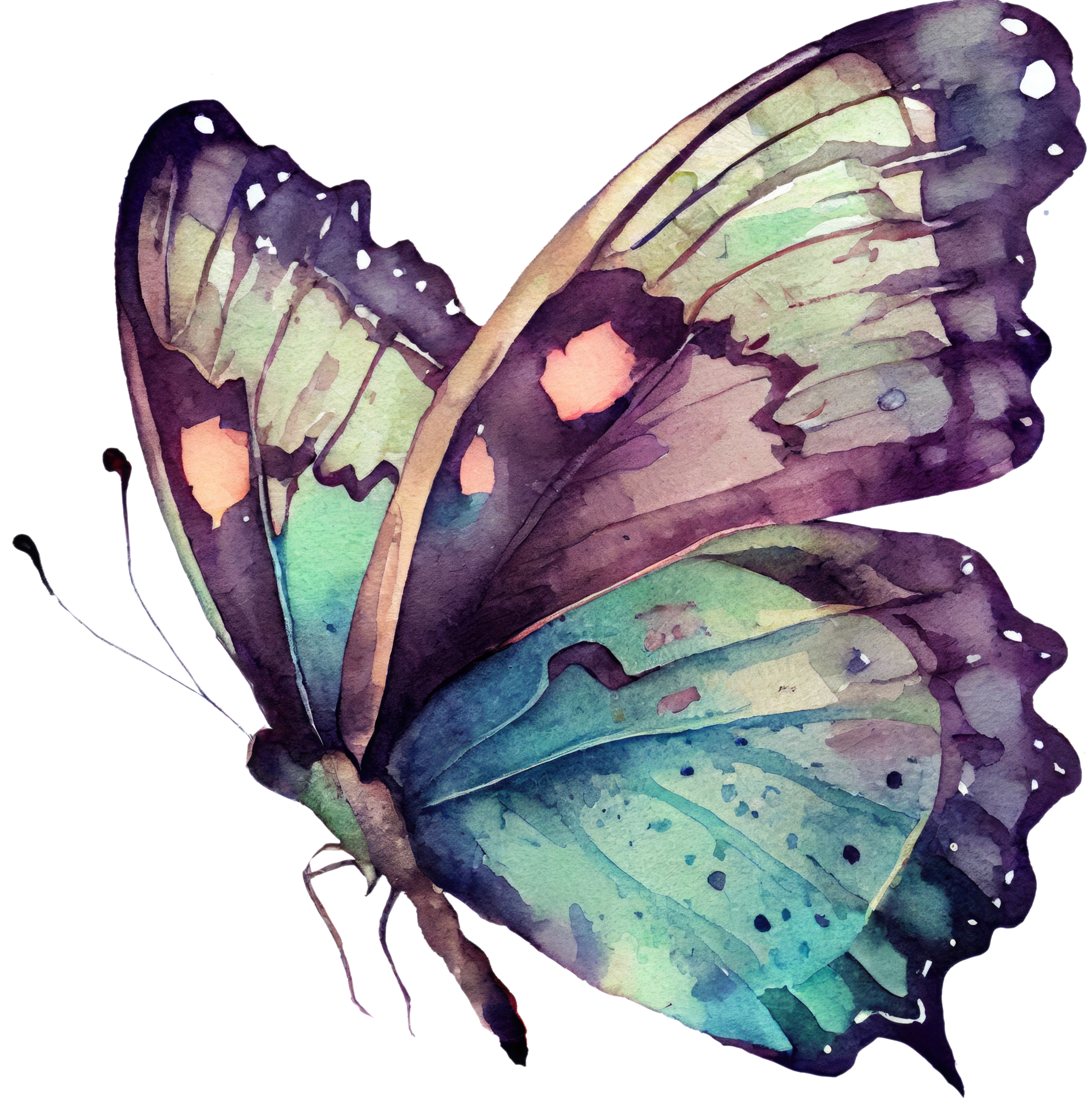 Cadre Aquarelle Avec Papillon Et Fleurs Illustration Ai
