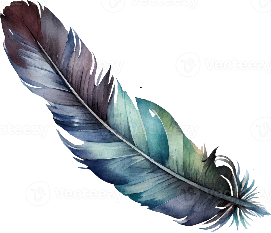 Colorful Feather Watercolor png