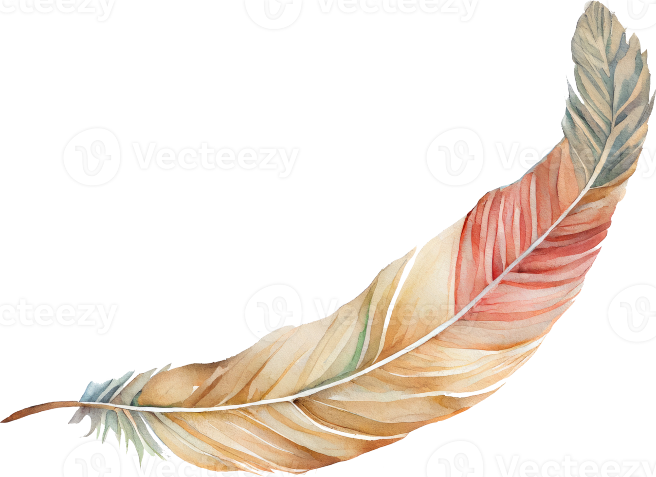 Colorful Feather Watercolor png