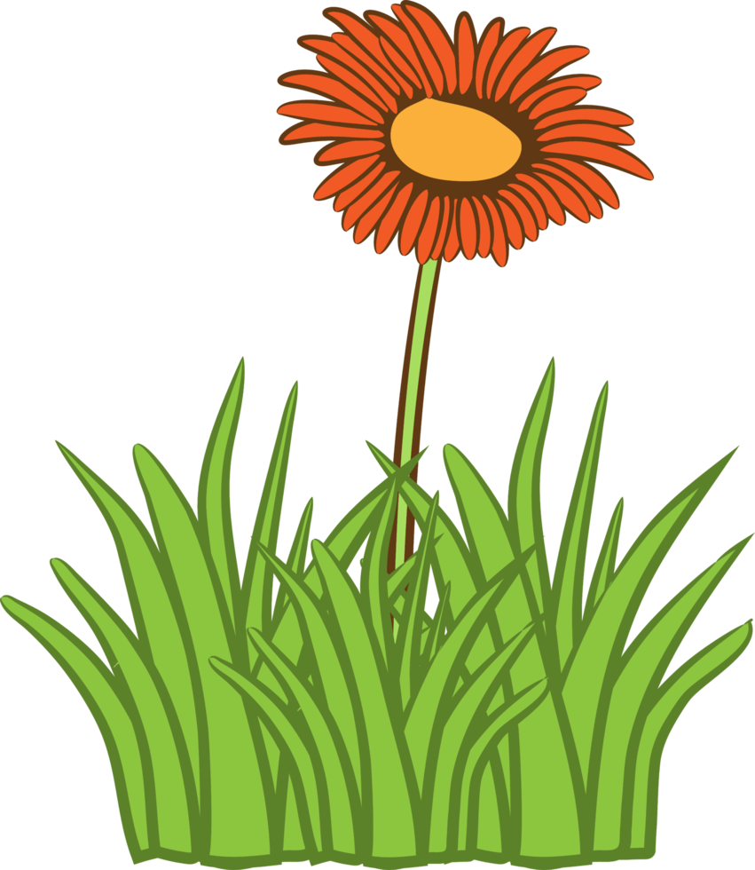 Grass png graphic clipart design