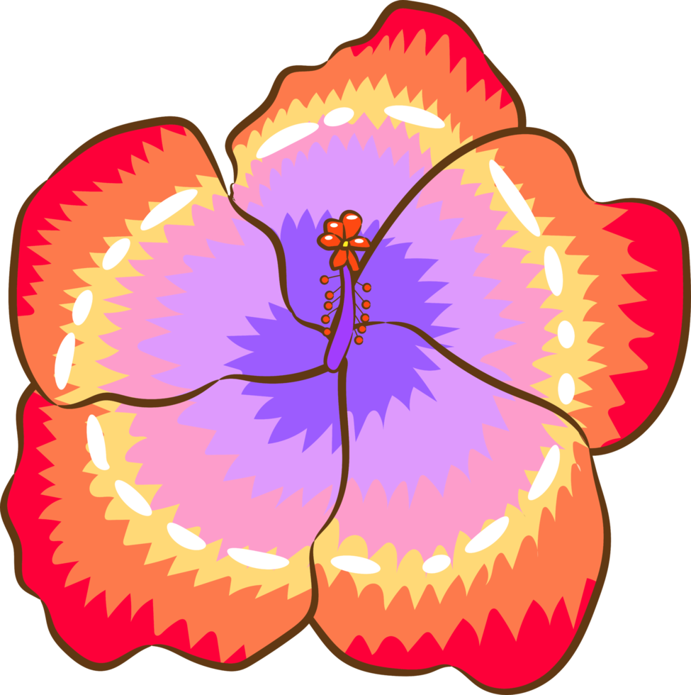 Hibiscus png graphic clipart design