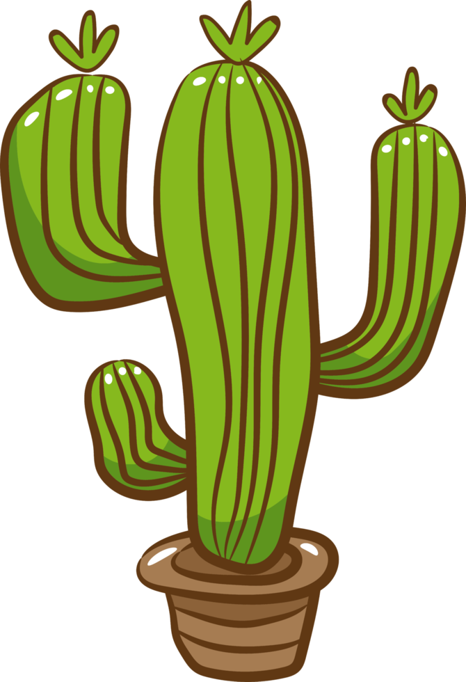 Cactus png graphic clipart design