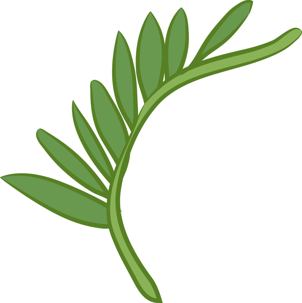 Leaf png graphic clipart design