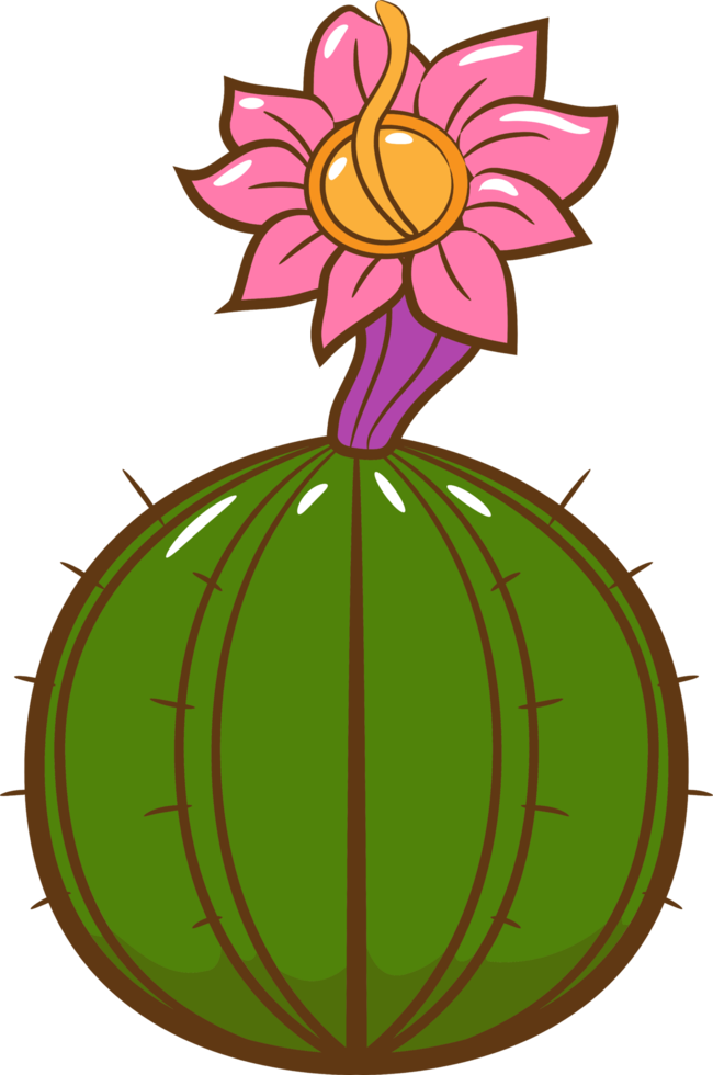 Cactus png graphic clipart design